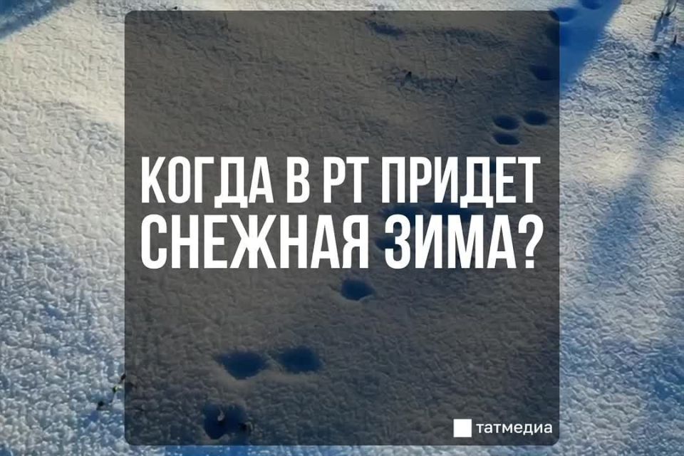 ����������� ������� � ������� ����� ����� ���� �����