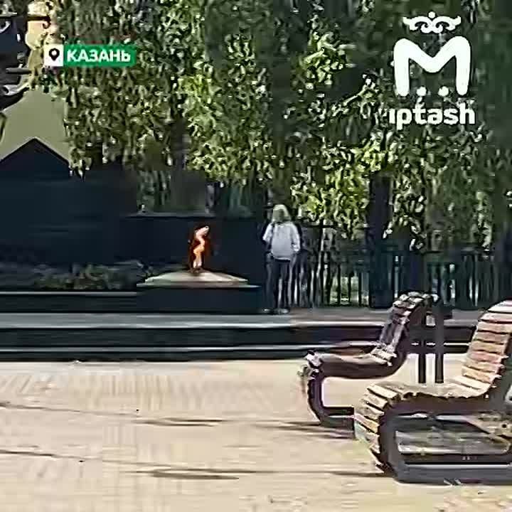 �����������, ������� ��������� �� ������� ���� � ������, ����������� �� 40�