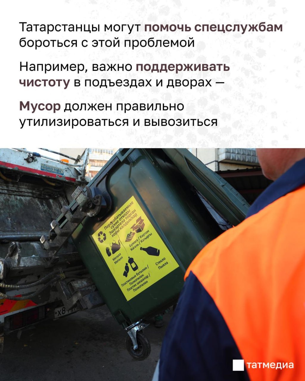 Татарстанцы жалуются на нашествие грызунов Татарстанцы жалуются на нашествие грызунов