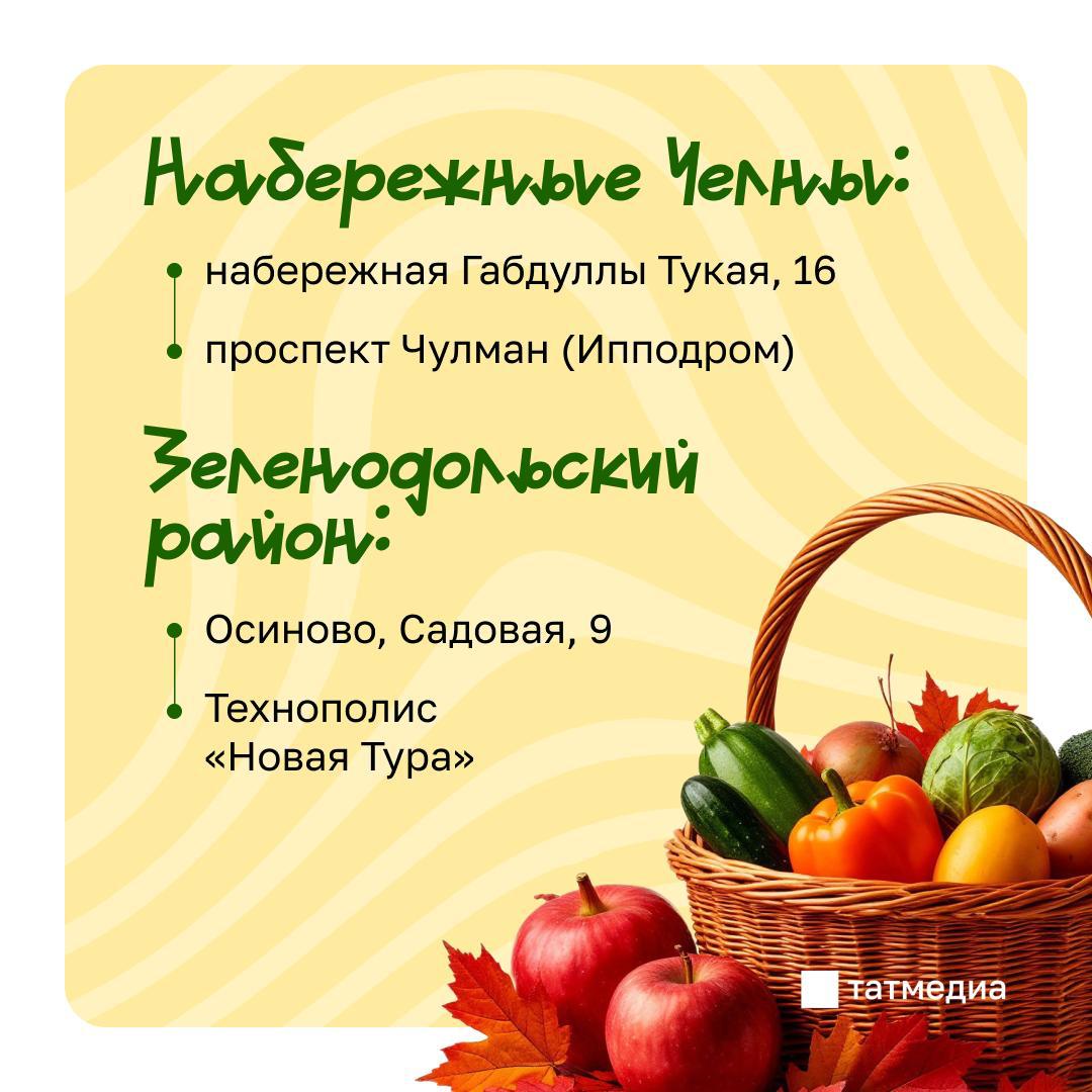 В субботу татарстанцы смогут посетить сельхозярмарки В субботу татарстанцы смогут посетить сельхозярмарки