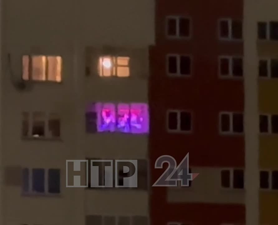 Нижнекамцы интересуются