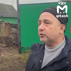 Свору диких собак, напавших на ребёнка подкармливала половина СНТ, вторая — вызывала отлов