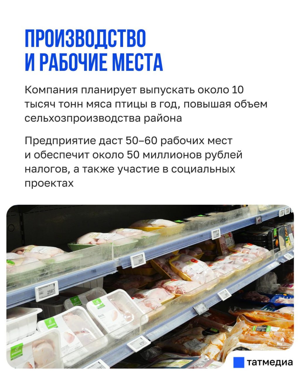 Раис Татарстана поручил провести независимую экспертизу проекта птицефабрики в Пестрецах Раис Татарстана поручил провести независимую экспертизу проекта птицефабрики в Пестрецах