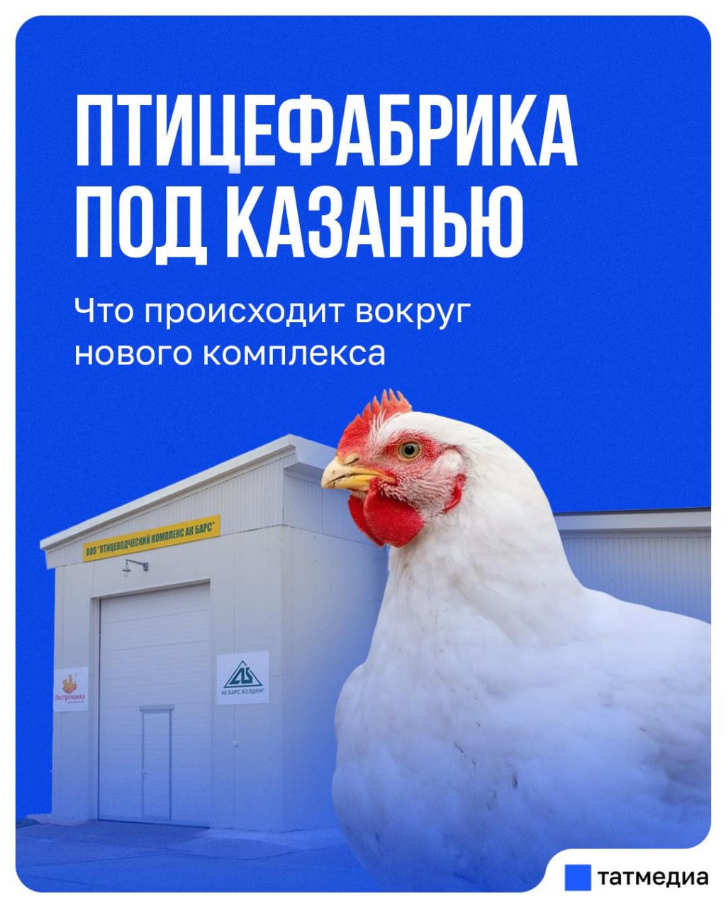 Раис Татарстана поручил провести независимую экспертизу проекта птицефабрики в Пестрецах