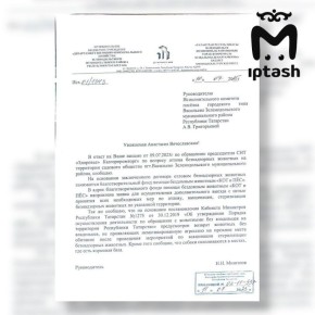 Девятилетняя жертва бродячих собак в реанимации в крайне тяжёлом состоянии