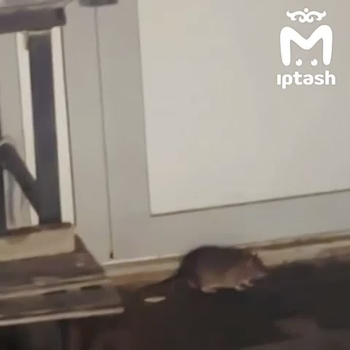 ����� ��������� �� ������� ��������� � ��������� � �����������, ��������� � �����������