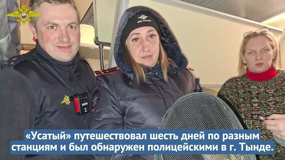 ����� ����: ����� ���� ��� ������� �� ������������ ������� �� ������� ������� ������ ���� ������ � ����� ������������ �����������, ��� ��������� ����� ������������� � ���������