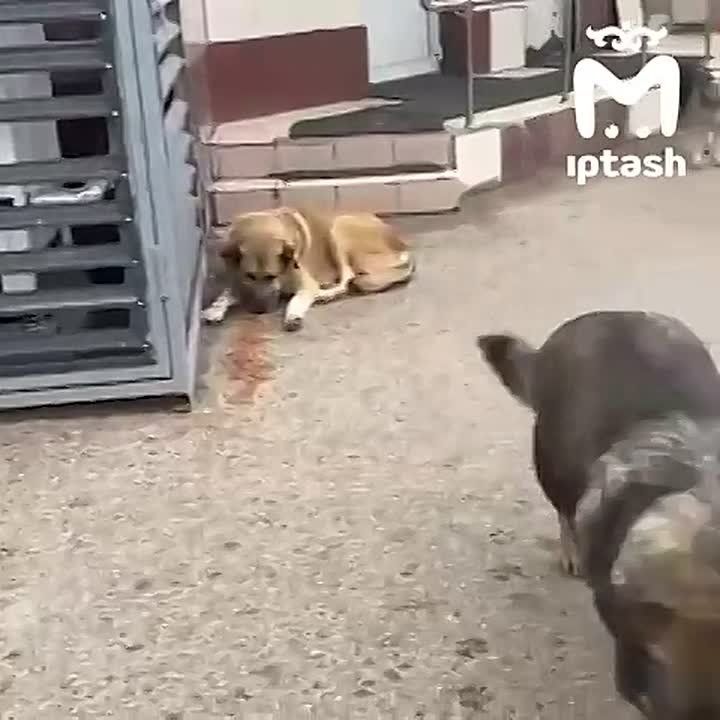 ��������� ������� � ������������� ����� ����� � ����������� �� ����� ������