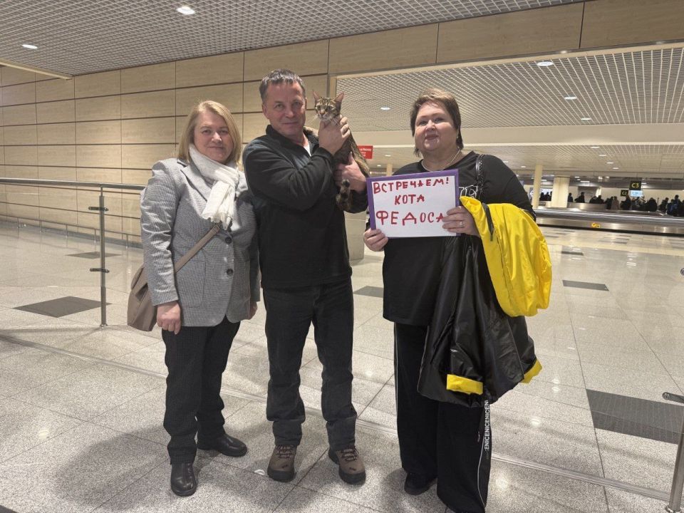 ���� ������ �� ������, ������������� � ������, ����������� ������, ����� ����� 6 ���� � �����