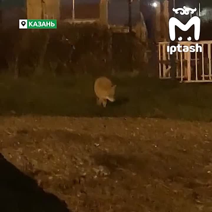 ���� ����������� � �� "��������� �����"