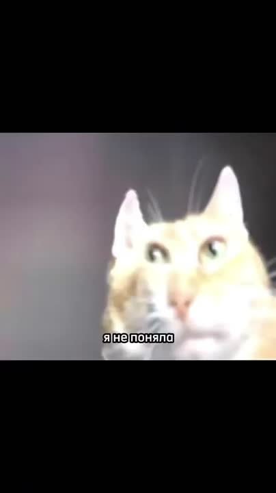 Татарстанцы в 2025 году направили через «Народный контроль» свыше 84 000 обращений