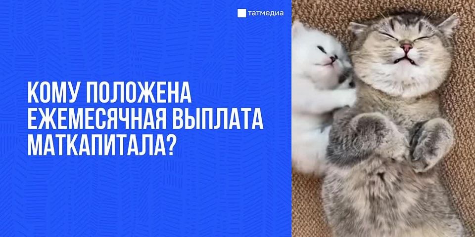 � �� �����, ��� ������� �� ����������� ����� �������� ������ �����?