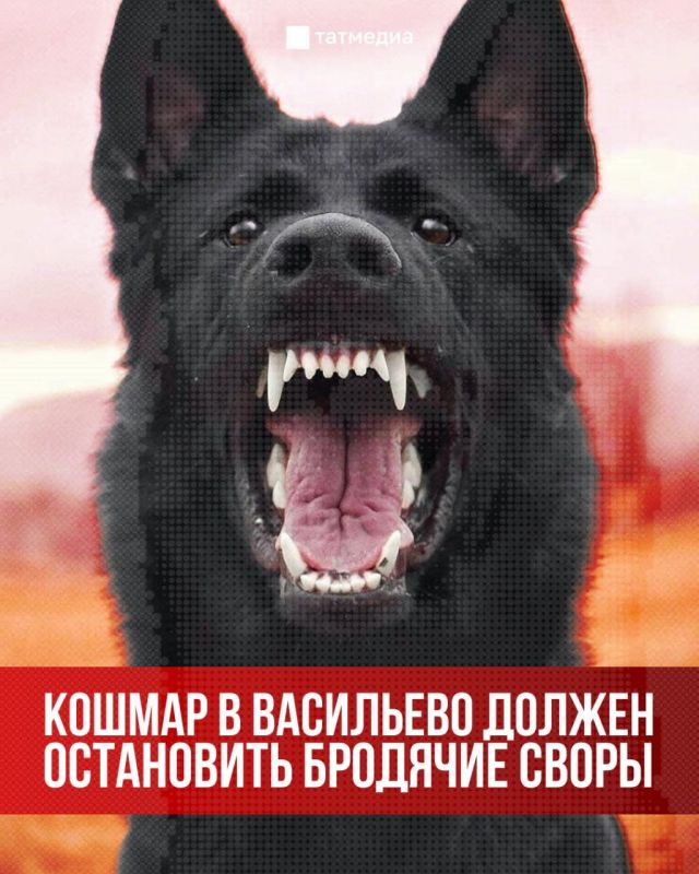 ������ �� ����� �������� ������, ��� ��� ��� ������?�