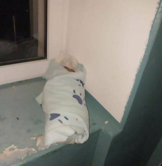 В подъезде дома в Альметьевске обнаружили завернутого в плед младенца