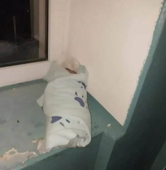 Жители Альметьевска в подъезде нашли новорожденного ребенка Жители Альметьевска в подъезде нашли новорожденного ребенка