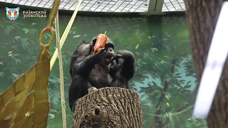 �������� ���� �� ���������� ���������� ������������ ���� ���������������