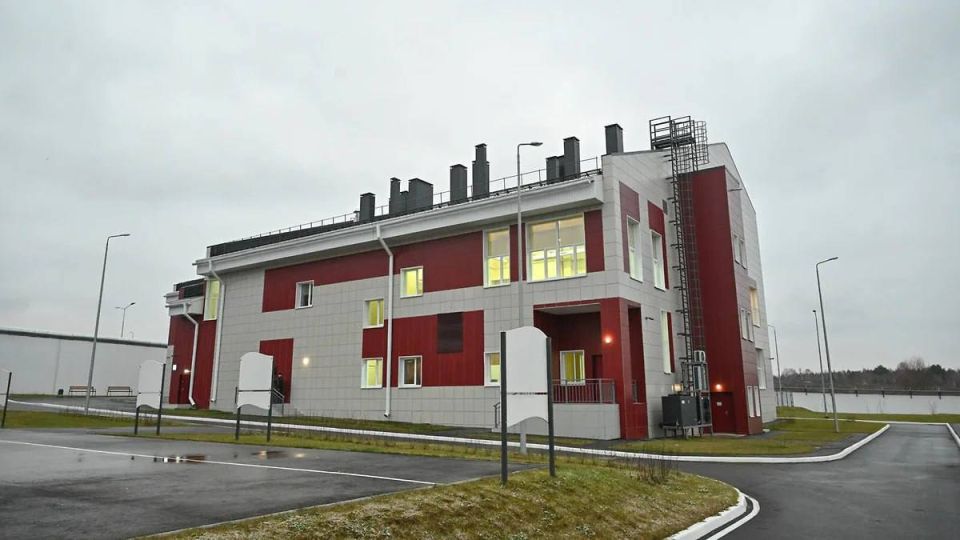 � ������ ������ ����� ������� ���� �� ������ ����