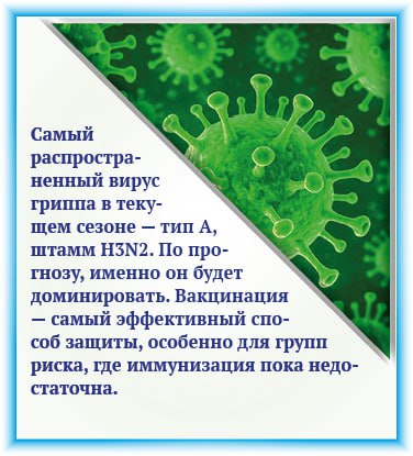 Заболеваемость ОРВИ и гриппом в Татарстане ниже эпидпорога Заболеваемость ОРВИ и гриппом в Татарстане ниже эпидпорога