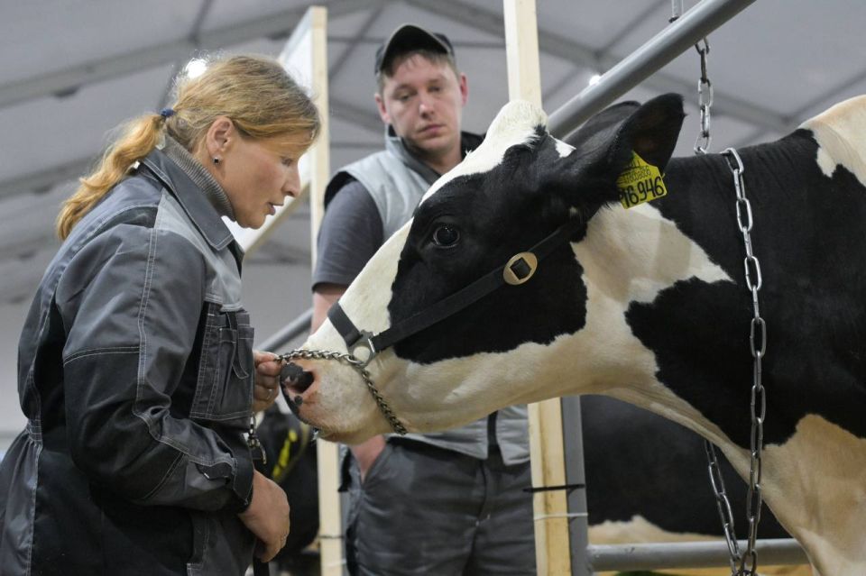 �� ���������� ������ ��� ��������� ������������� ������� ������������� ����� 500 ��� ������