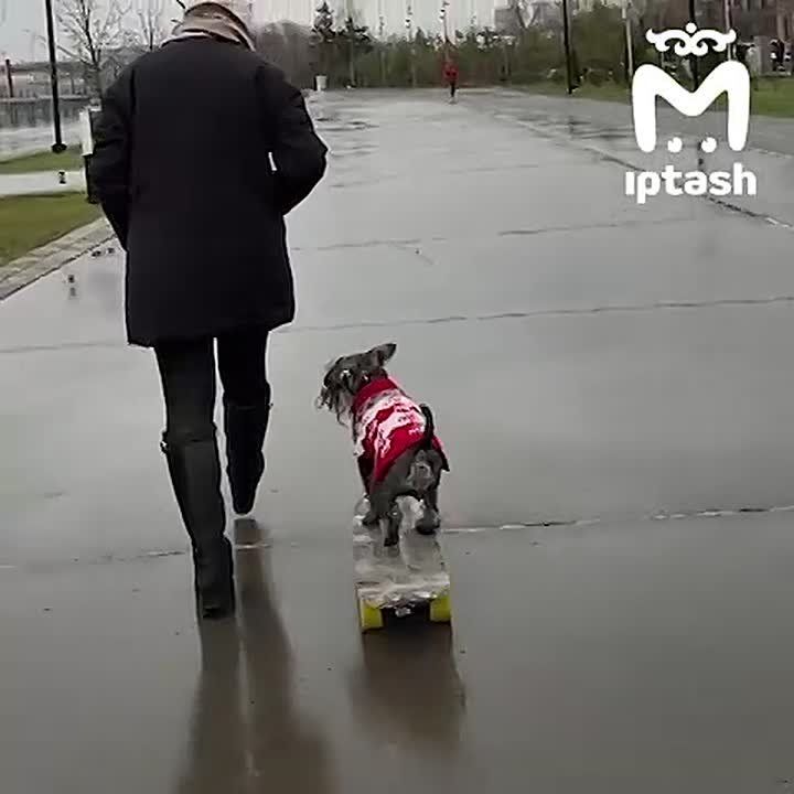 POV: ������ ���� � ��������-��������, ��� ������ ��������� �� ������ �� ������, � ������ �� �� �� ���