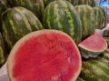 Ранние арбузы? Когда они станут друзьями, а не тайными врагами вашего здоровья