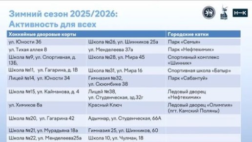 Этой зимой в Нижнекамске будет работать 5 открытых катков, 20 дворовых хоккейных кортов