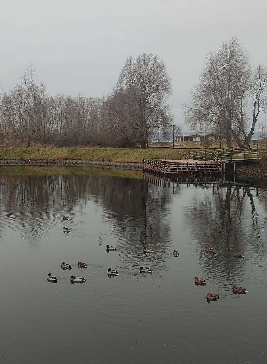 Утепляемся: за окном -10 градусов, к вечеру мороз усилится