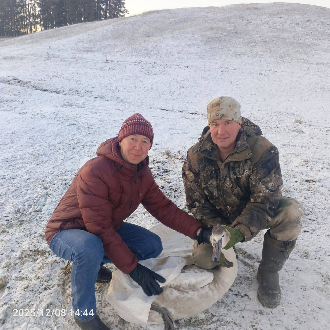 В Агрызском районе спасли примерзшего ко льду лебедя В Агрызском районе спасли примерзшего ко льду лебедя