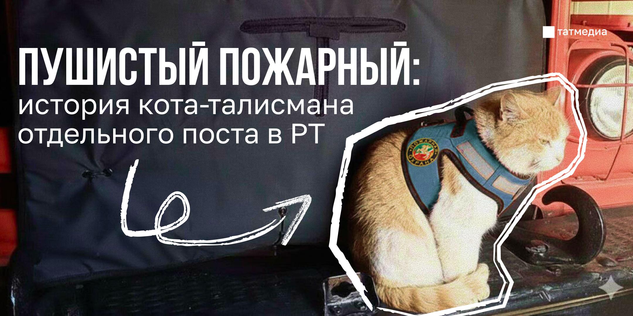 Спасенный кот стал талисманом пожарного поста