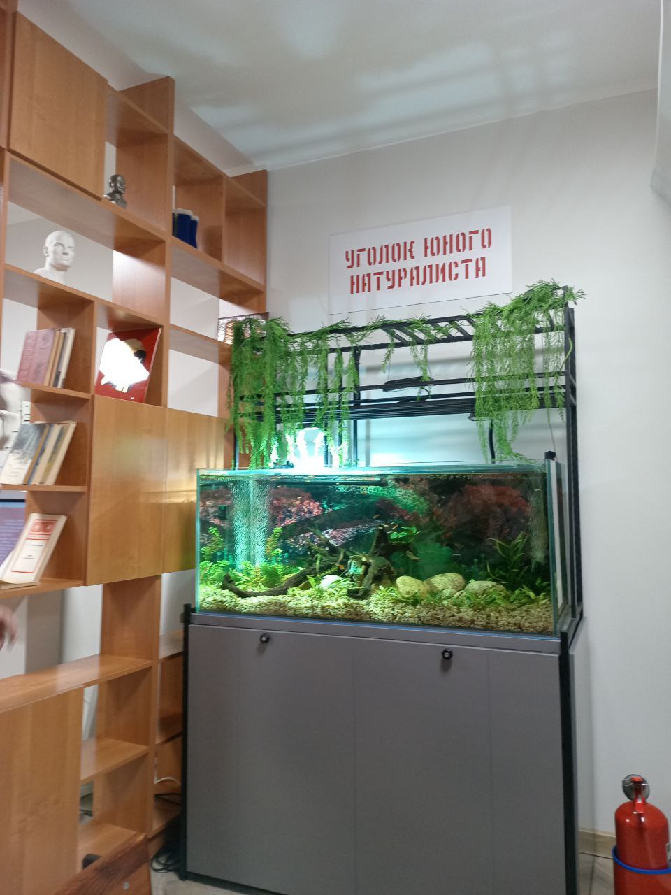 Знакомьтесь, «Эврика» в Елабуге: где история встречается с технологиями! Знакомьтесь, «Эврика» в Елабуге: где история встречается с технологиями!