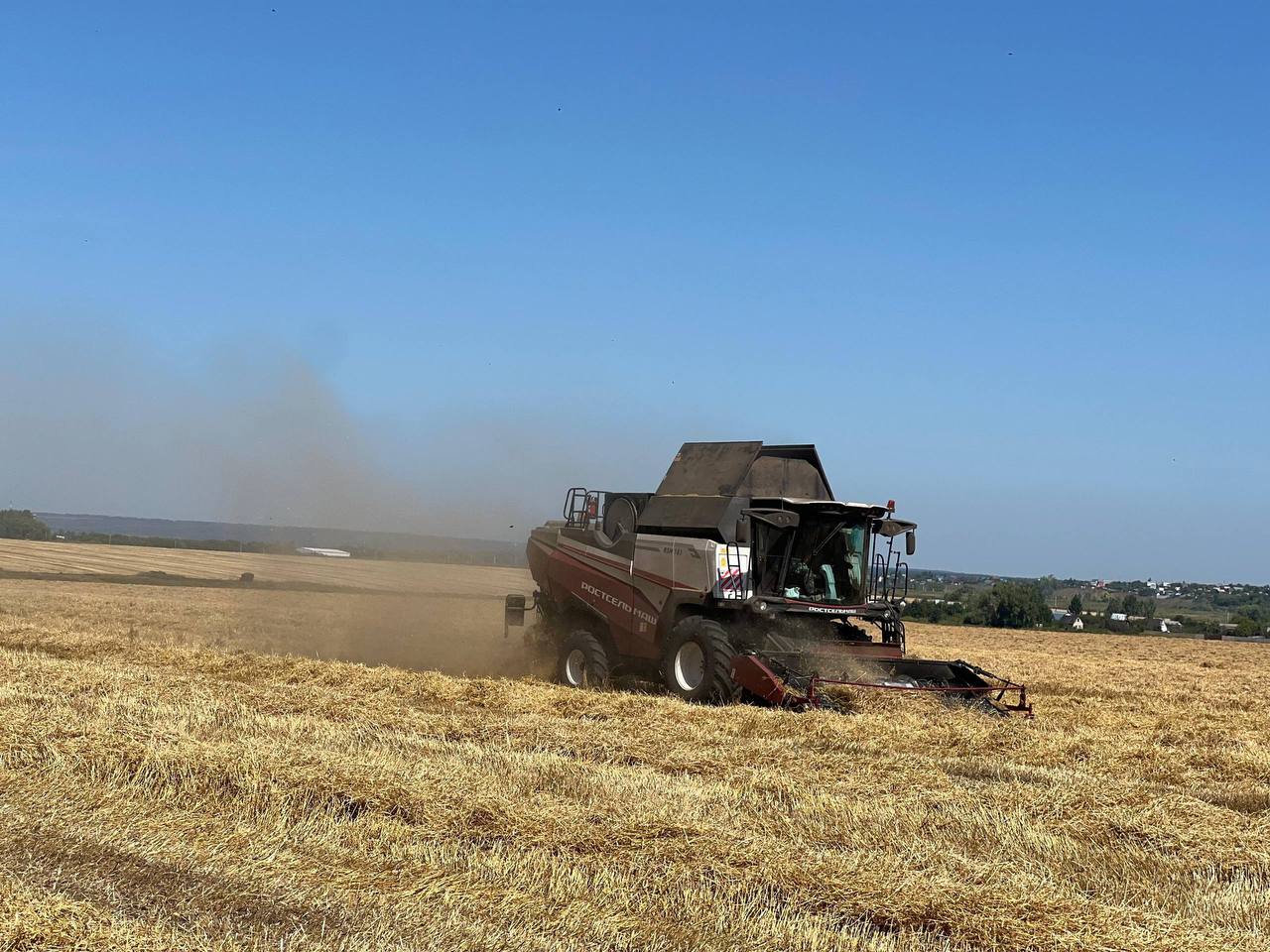 Индекс производства сельскохозяйственной продукции в Татарстане вырос на 7% по отношению к прошлому году