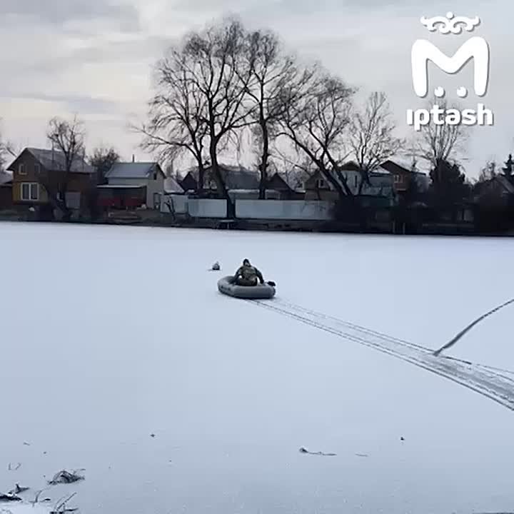 Умирающий на пруду в Дербышках лебедь, оказывается, просто