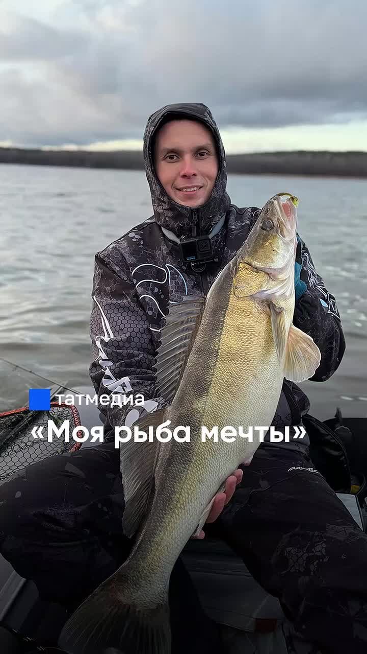 Рекорд на Каме: рыбак вытянул гигантского судака