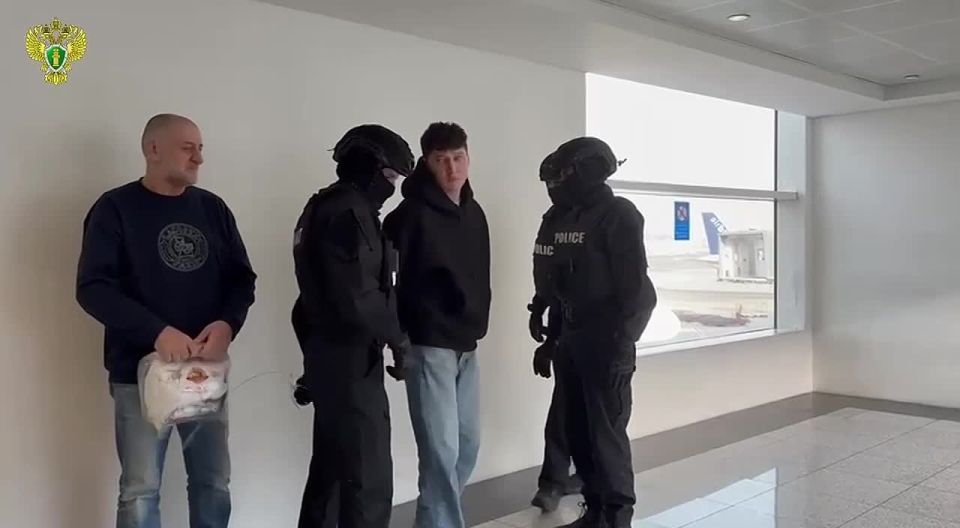 ������������ Finiko ��������, ������������ � ������, ����������� � ������ �� ���