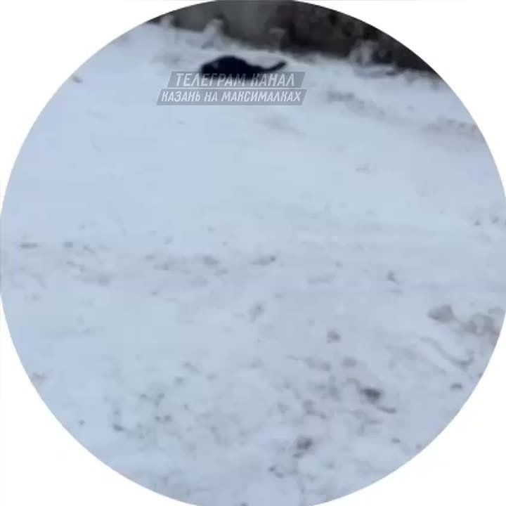 � ������ � �/� ������� �������� ������� ���� � �����