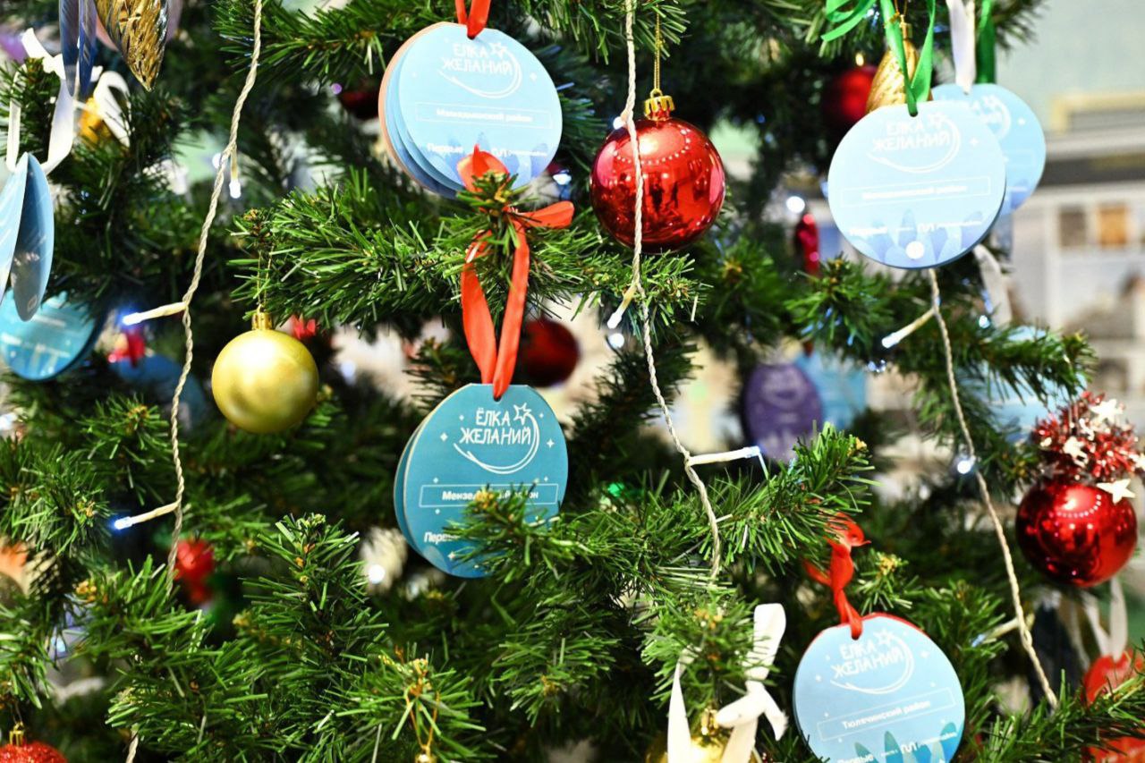 Рустам Минниханов: Сегодня принял участие в благотворительной акции «Елка желаний»! В этом году на сайт поступило более трех тысяч заявок