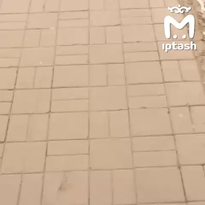 Вечер опустился на город. Самое время выйти с любимкой на прогулку: подышать свежим воздухом, промочить ноги в снежной каше