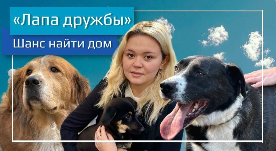 ������������������ ������-������� ����� ����������� �������� ����� ��� ������ � �����