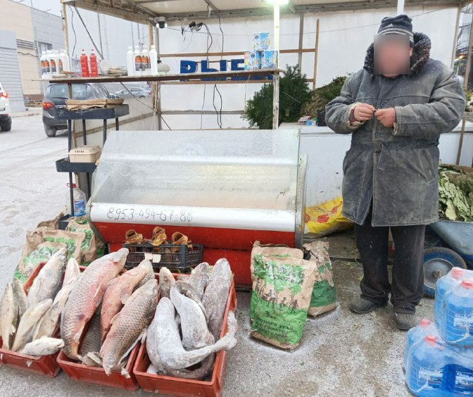 В Казани прошёл рейд по несанкционированной уличной торговле рыбой В Казани прошёл рейд по несанкционированной уличной торговле рыбой