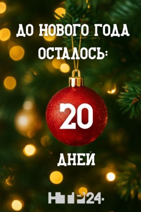 До Нового года осталось 20 дней!