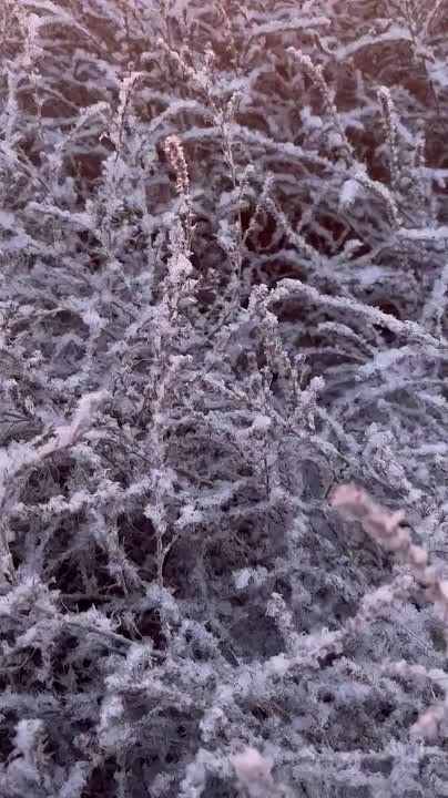 ������ ����, ���������! ����� ���, ������� �����������!