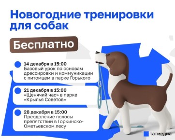 В декабре казанцев приглашают на бесплатные тренировки с собаками
