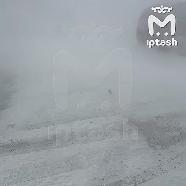 ������� ������ � ������� ������ �� ������ ������� � ������� �� ���� �����