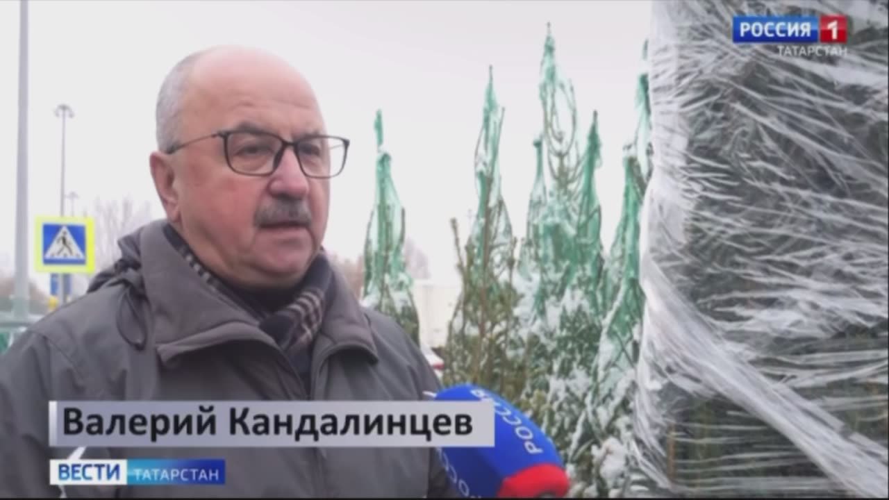 В Казани цены на новогодние елки начинаются от 1 тыс