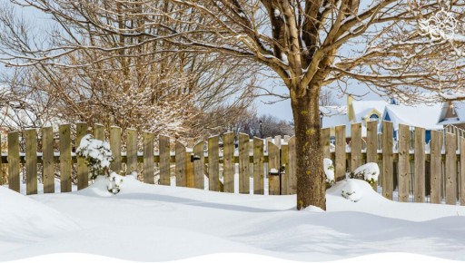 Как снег может стать вашим союзником на даче: советы по правильному использованию
