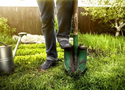 Как выбрать идеальную лопату для дачи: деревянные или алюминиевые?