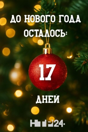 До Нового года осталось 17 дней!