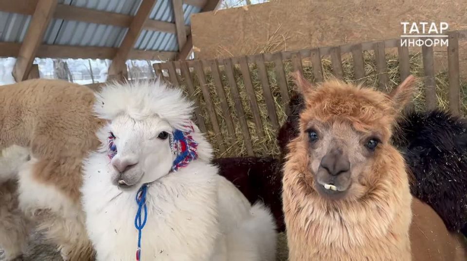 � ���������� ������� ������ � ������ ���� � �� �������� � ����������� �������