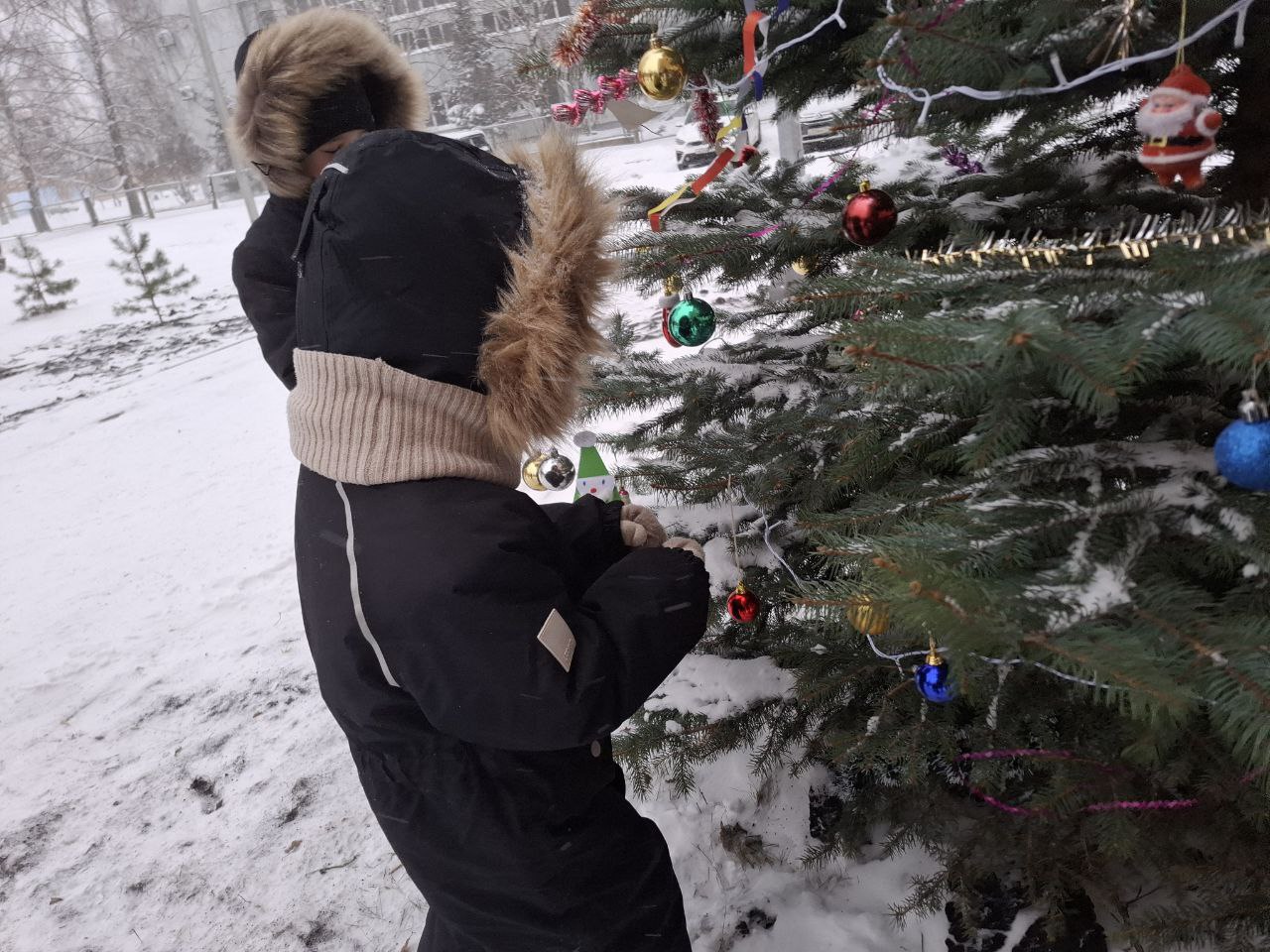 Жильцы Гагарина 17 нарядили ёлочки около своего дома, которые сами посадили 10 лет назад! Жильцы Гагарина 17 нарядили ёлочки около своего дома, которые сами посадили 10 лет назад!