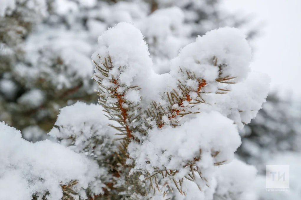 Прогноз погоды в Татарстане на 16 декабря: мороз, ветер и гололедица